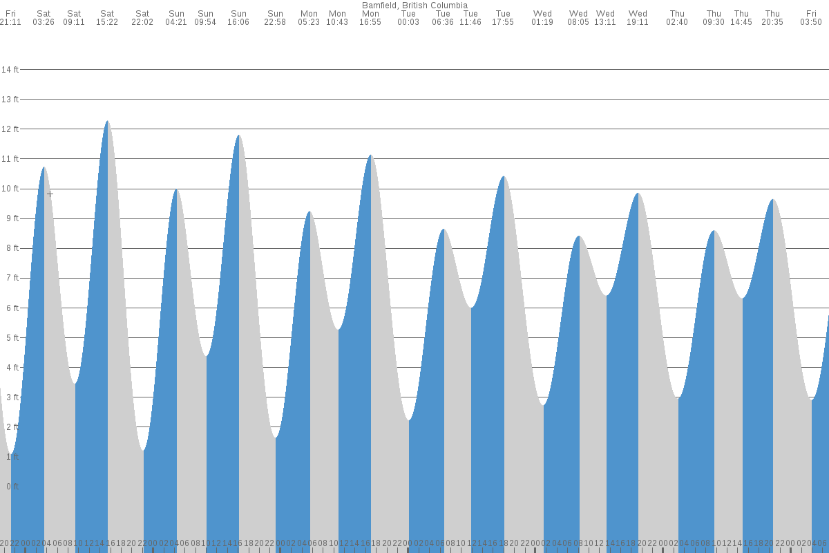 Bamfield tide chart