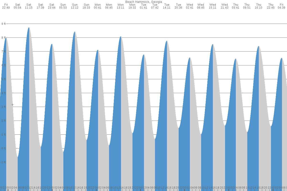 Beach Hammock tide chart