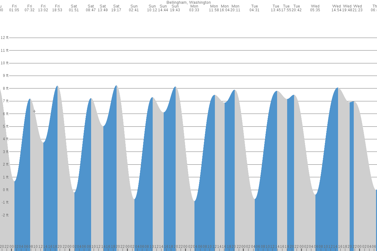 Bellingham tide chart