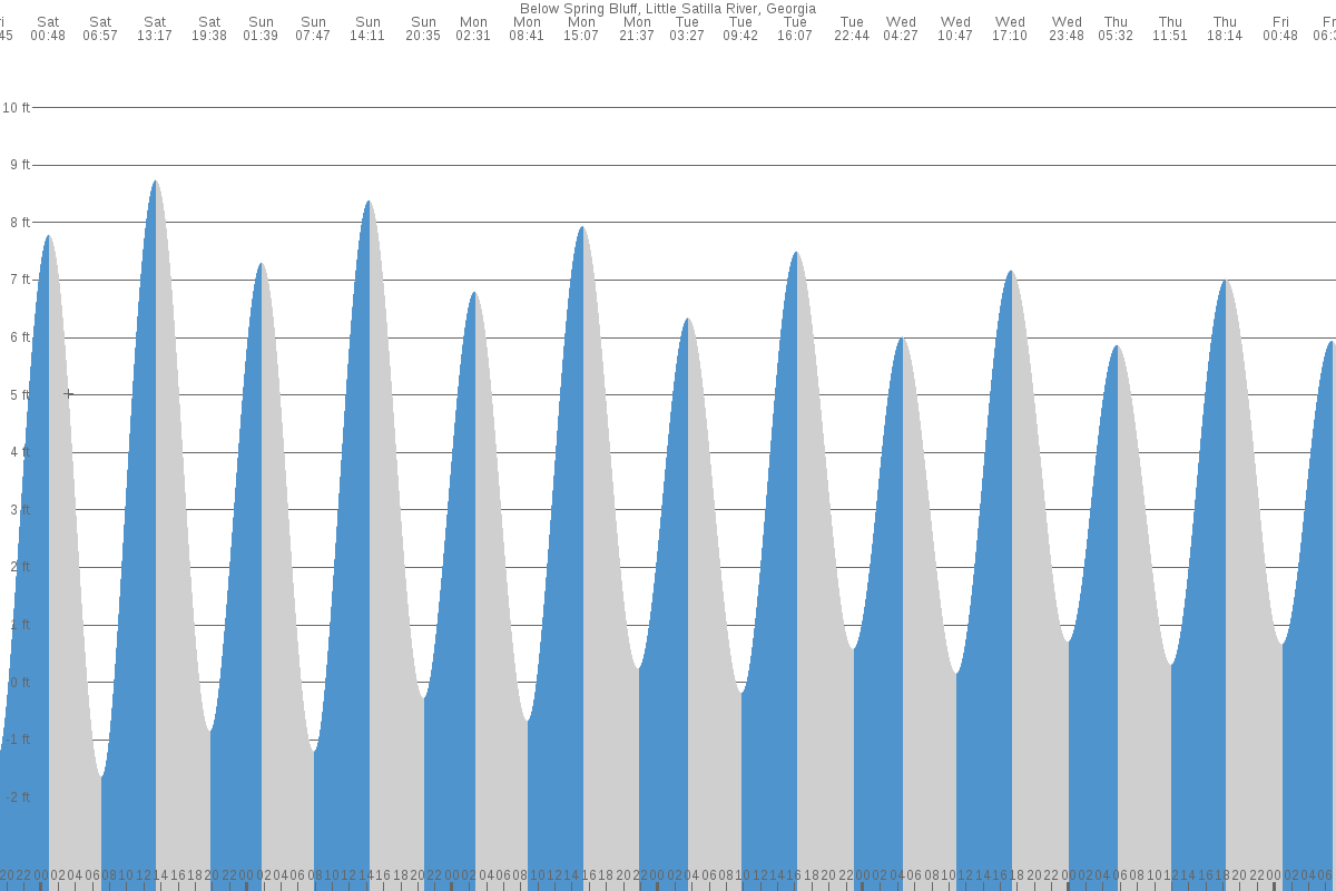 Spring Bluff tide chart