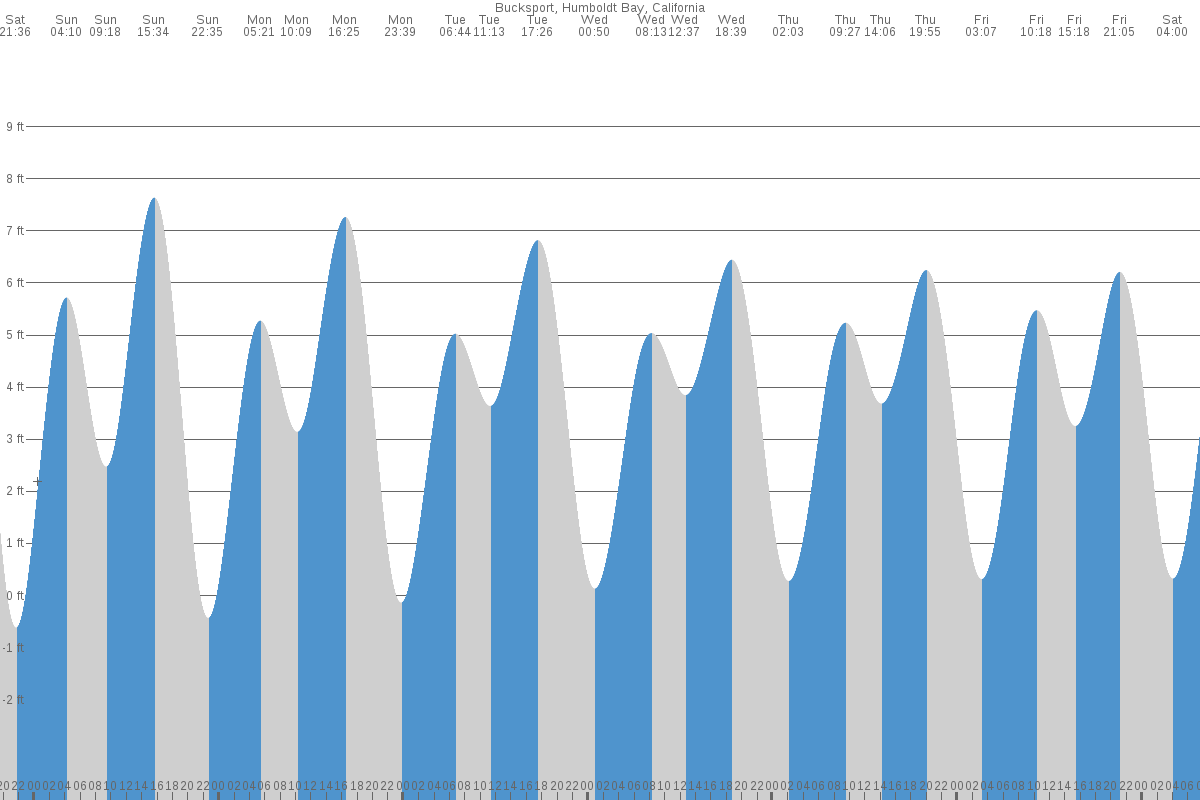 Bucksport tide chart