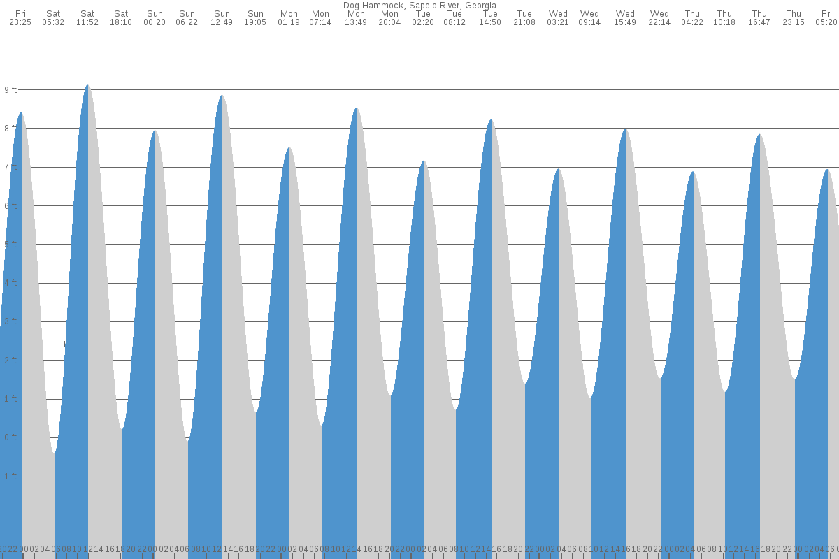 Dog Hammock tide chart