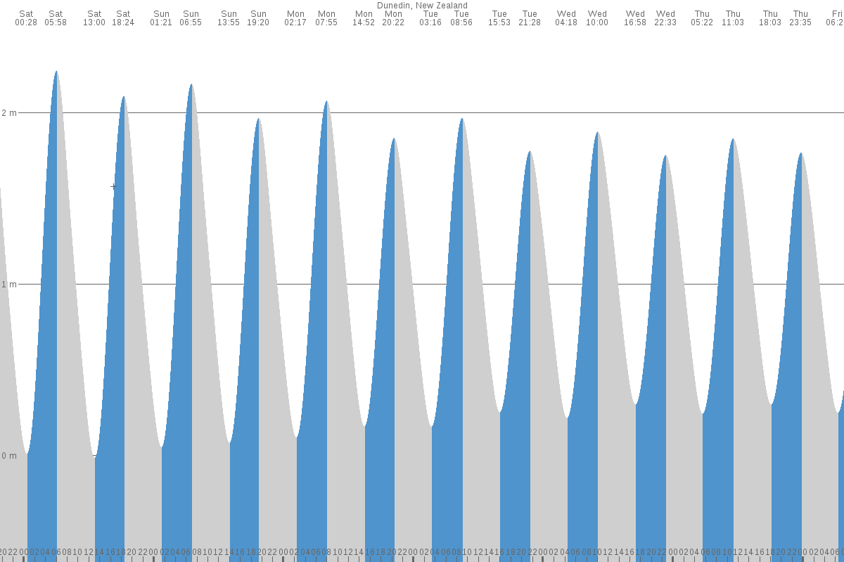 Dunedin tide chart