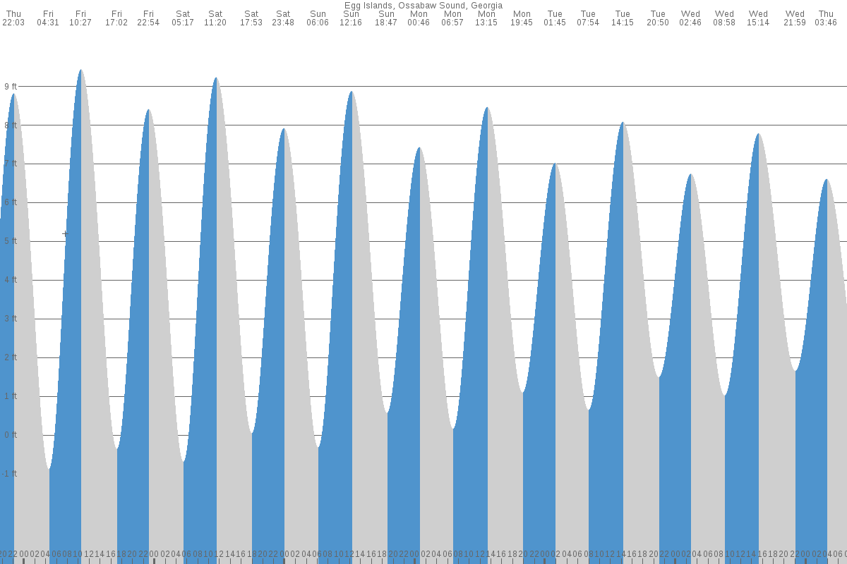 Egg Islands tide chart