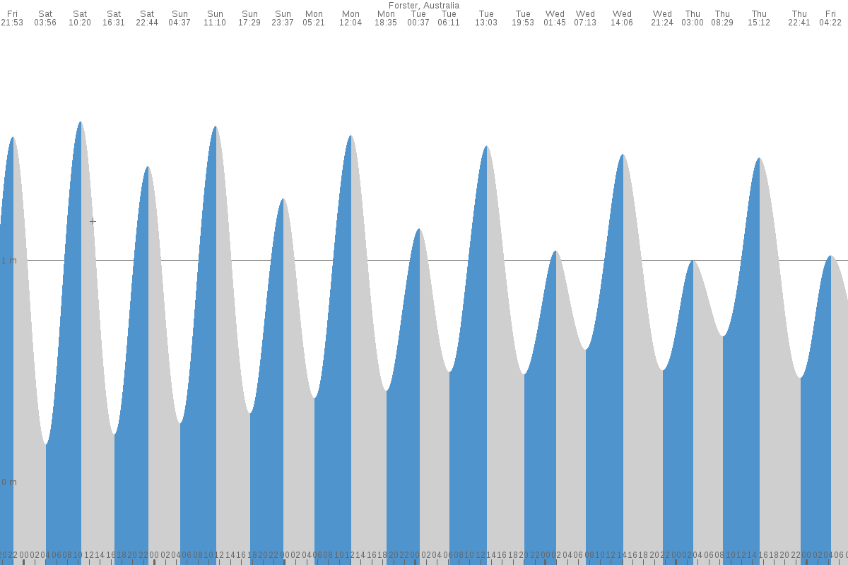 Forster tide chart