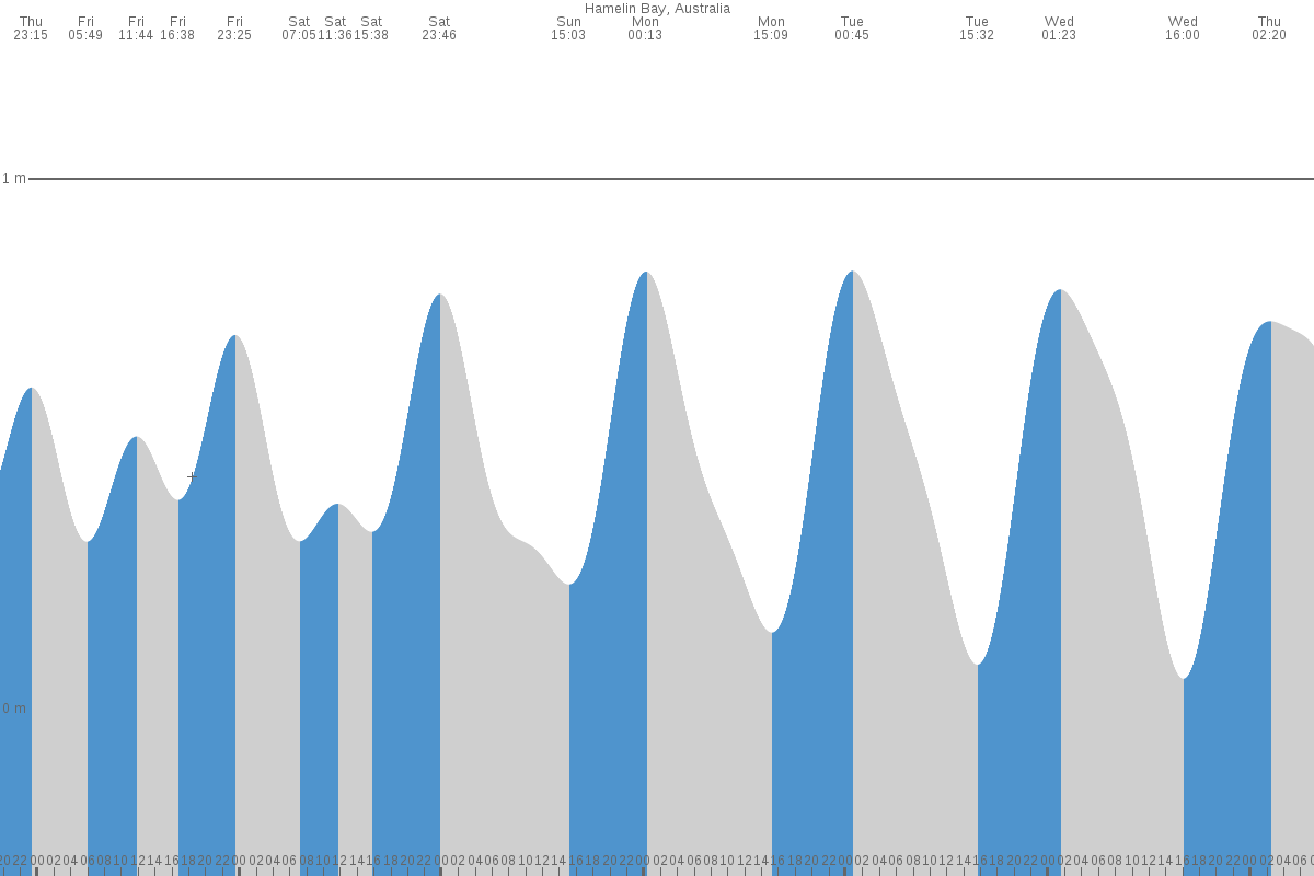 Hamelin Bay tide chart