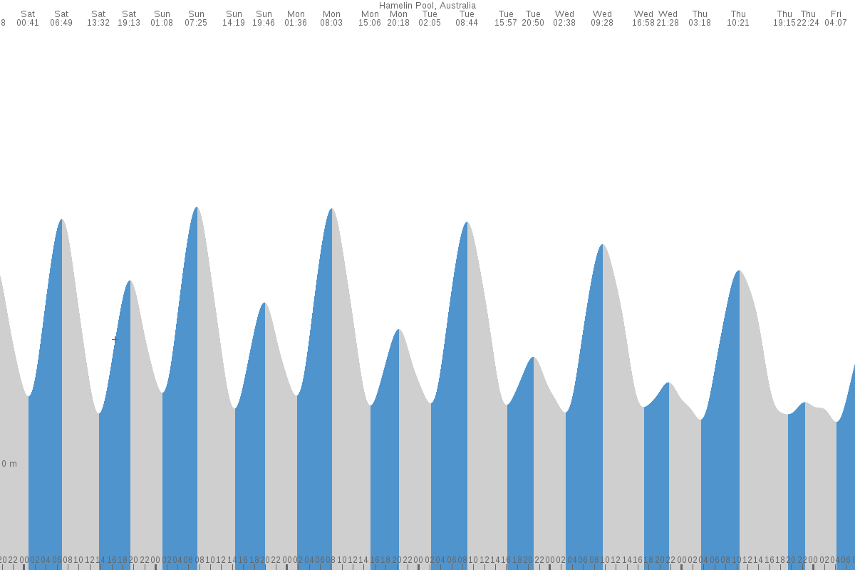 Hamelin Pool tide chart