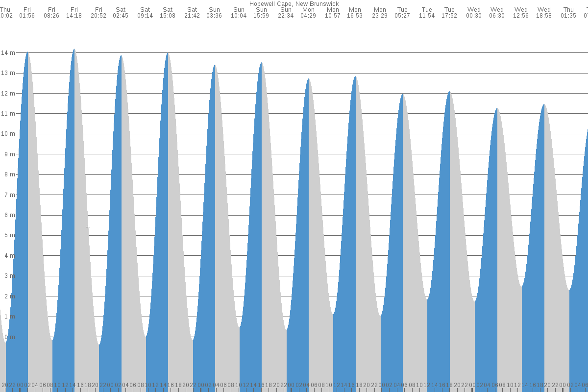 Hopewell Cape tide chart