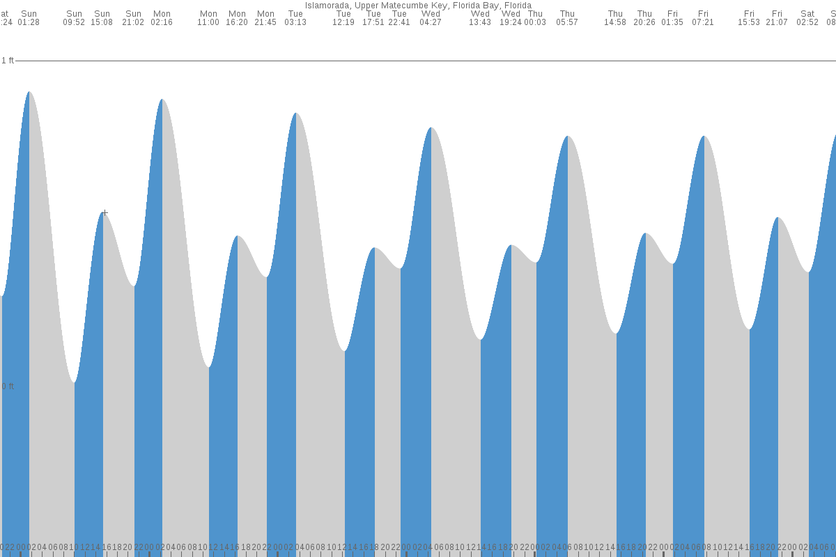 Islamorada tide chart