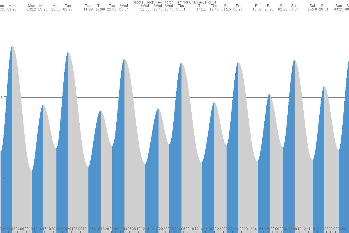 Middle Torch Key tide chart