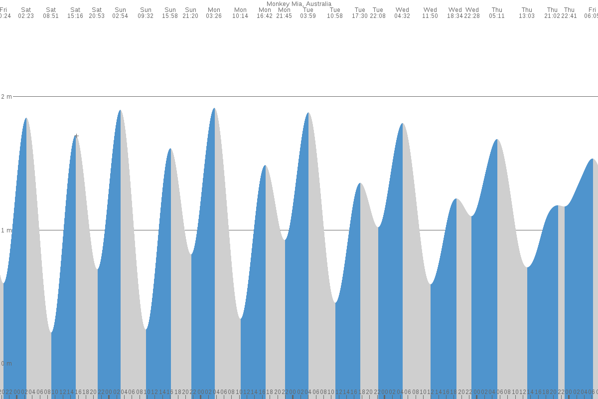 Monkey Mia tide chart