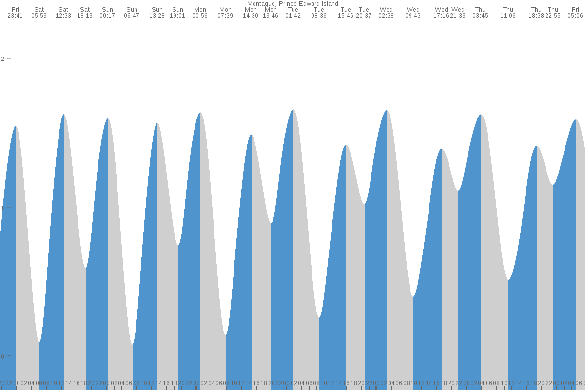 Montague tide chart