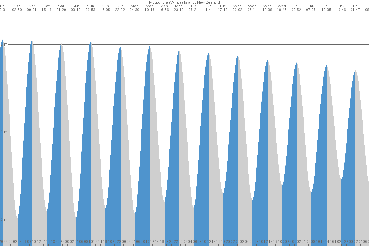 Motuhora Island tide chart