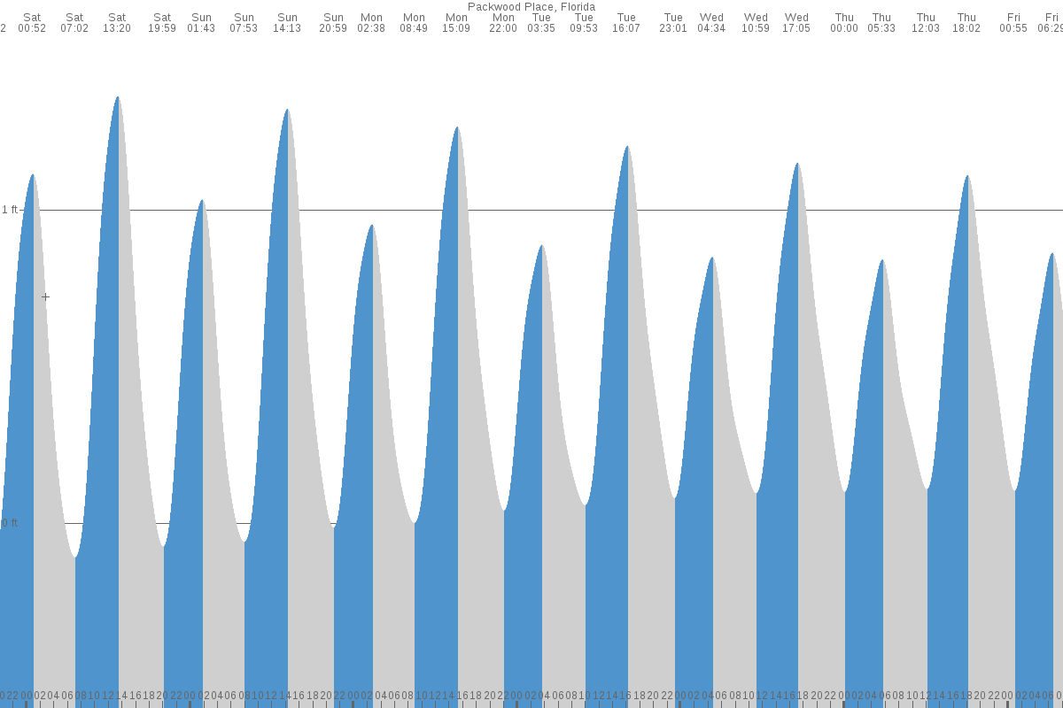 Packwood Place tide chart