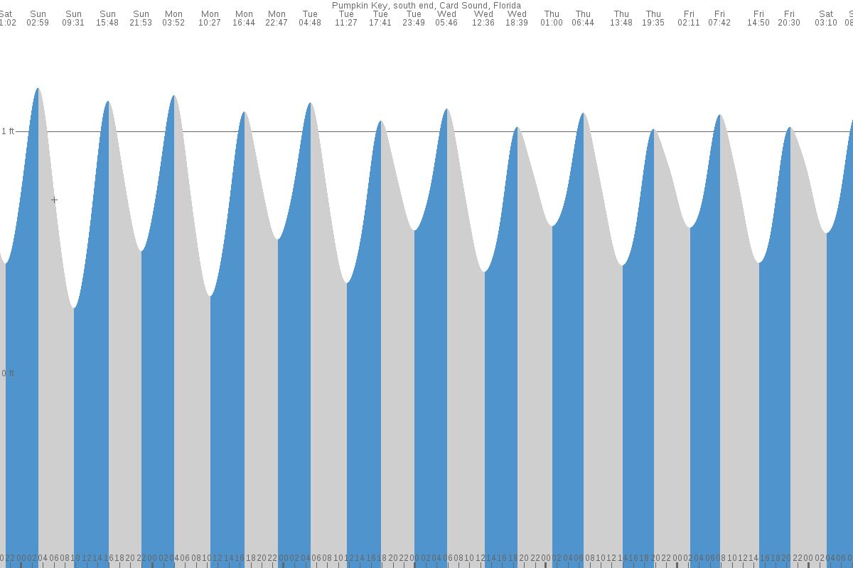 Pumpkin Key tide chart