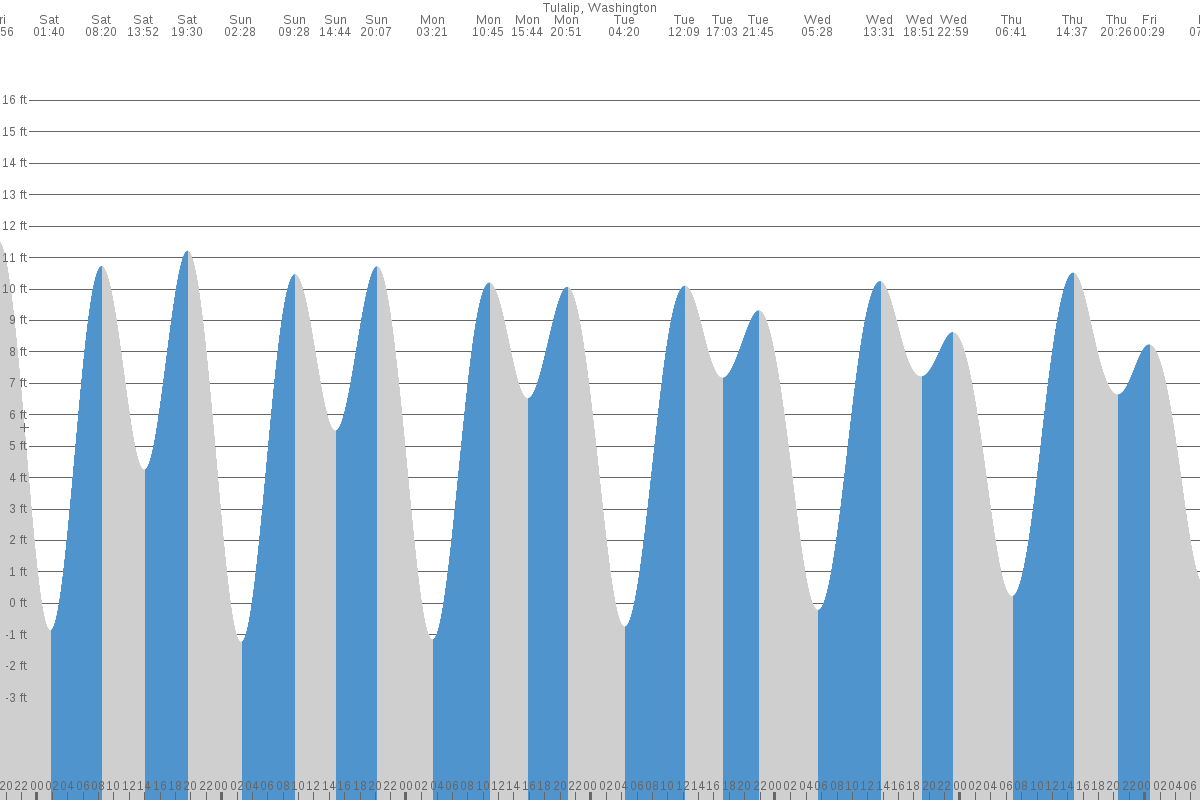 Warm Beach tide chart