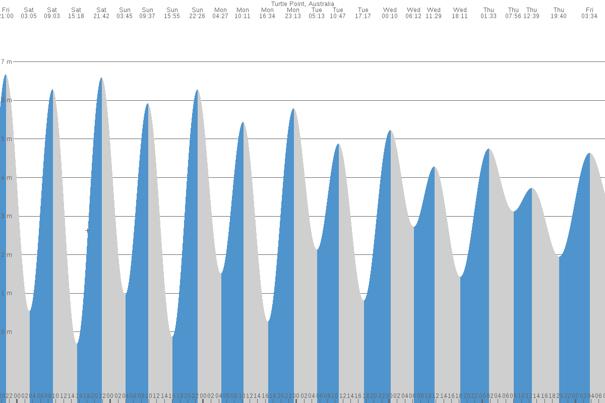 Turtle Point tide chart