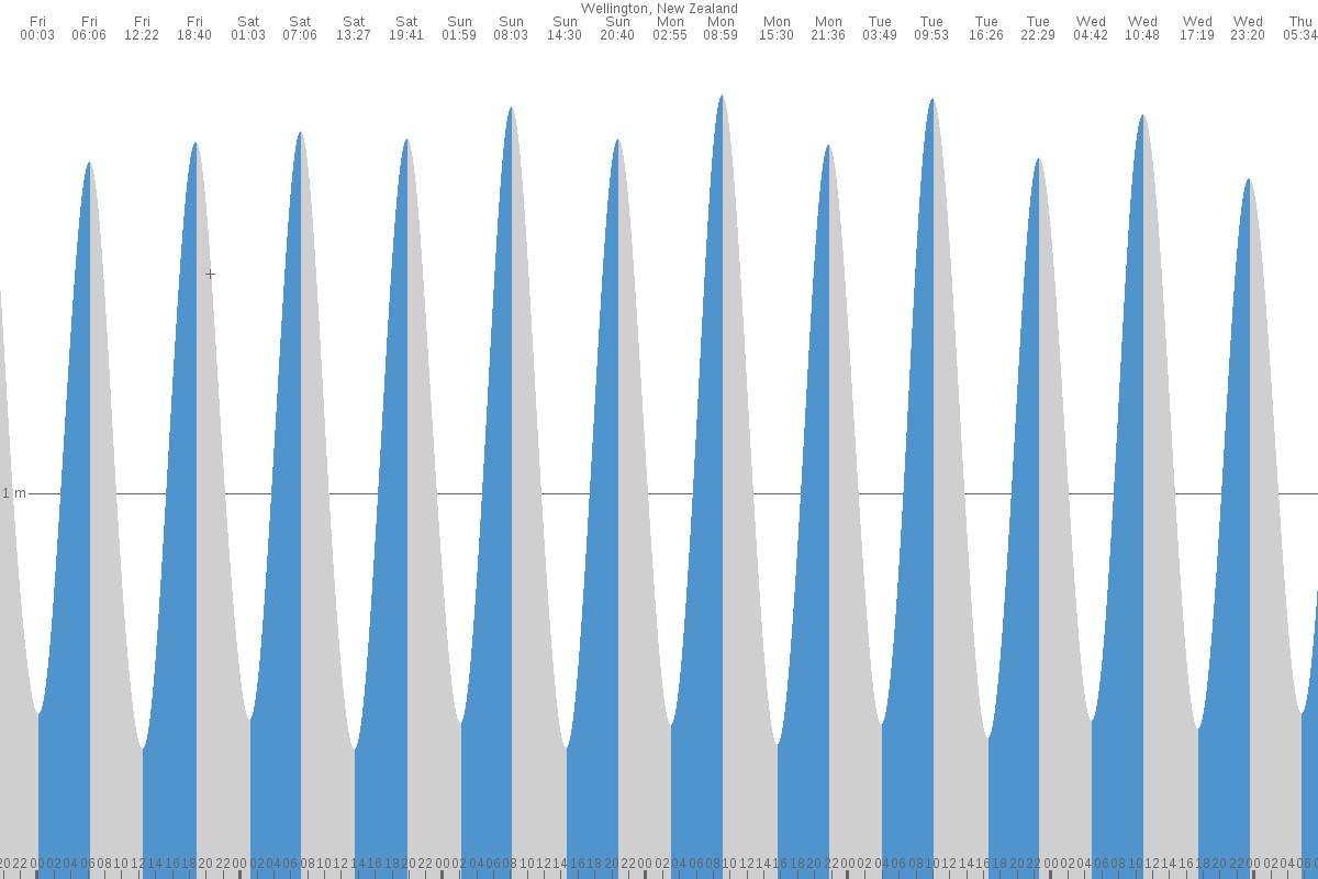 Wellington tide chart