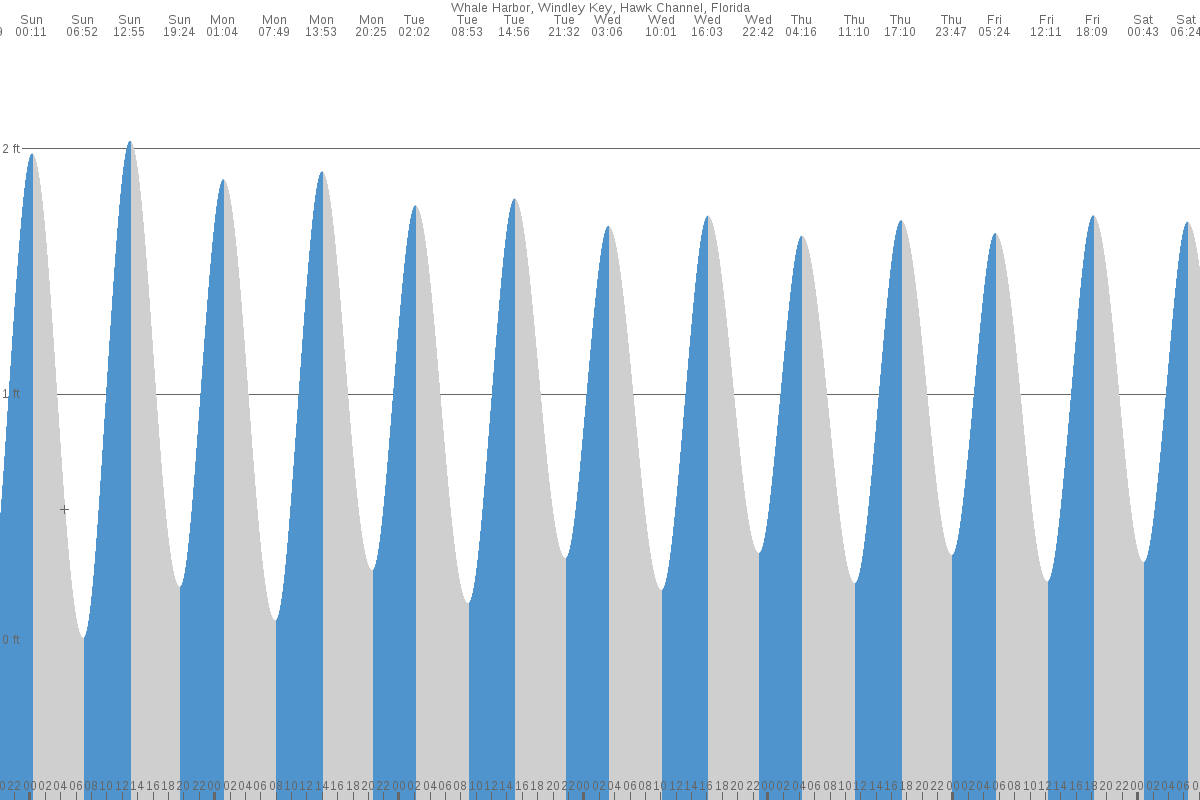 Whale Harbor tide chart